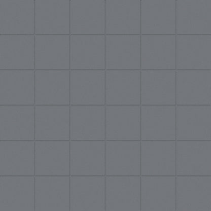 Ansel Mosaic