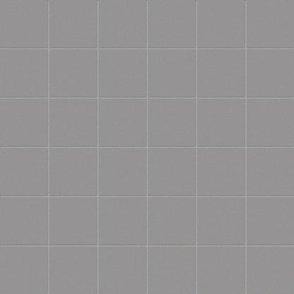 Ansel Mosaic
